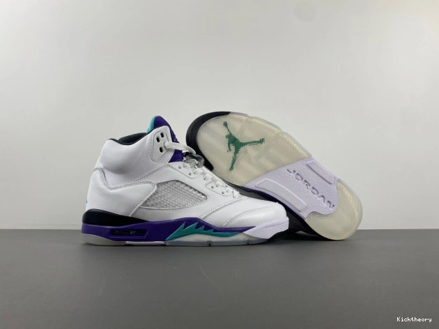 Kick Theory 136027-108 Grape 5 Air Jordan (2013) Retro 0820